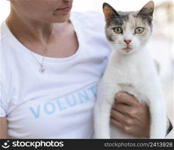 cute curious cat being held by woman outdoors