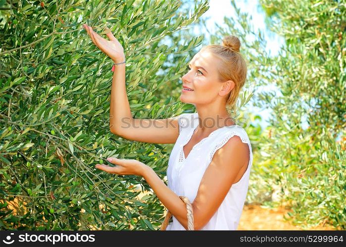 Cute farmer girl enjoying harvest of olives, walking in the garden in bright sunny autumn day, cultivation of organic food, healthy lifestyle