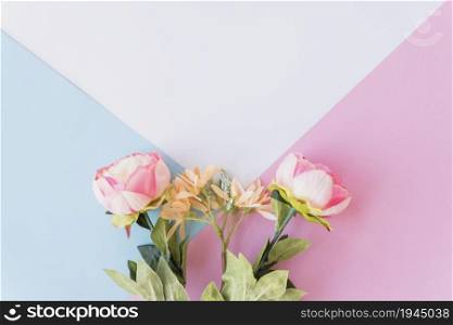 cute flowers multicolored background. High resolution photo. cute flowers multicolored background. High quality photo