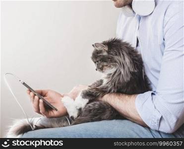 Cute, fluffy kitten and a man with a phone. Pet care concept. Cute, fluffy kitten and a man with a phone