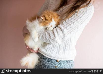 Cute fluffy long-haired young cat sleeps in the hands of a woman. Woman hugging domestic fluffy cat. The cat sleeps in the hands of a man