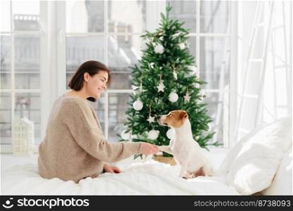 Cute funny dog poses with woman host on bed, gives paw, enjoy comfort and coziness, pose against decorated New Year tree, have happy holidays. People, holiday, animals and relationship concept