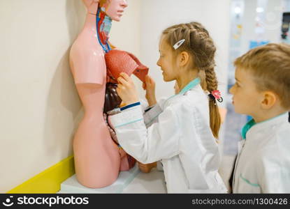 Cute girl and boy in uniform and with stethoscope playing doctor, playroom. Kid plays medicine worker in imaginary hospital, profession learning at the medical dummy with internal organs