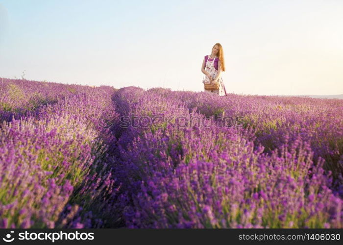 Cute girl collect lavender on meadow at sunset. Nature and pepople scene.