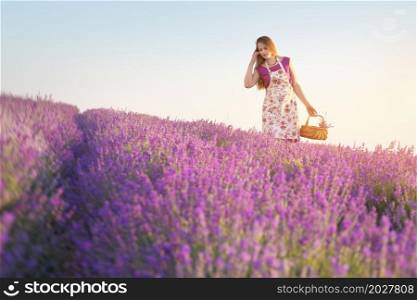 Cute girl collect lavender on meadow at sunset. Nature and pepople scene.