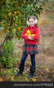 Cute girl collects quince from the tree. Quince autumn harvest, full basket of quince in the garden. Growing organic fruits on the farm.. Cute girl collects quince from the tree.