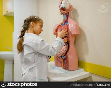 Cute girl in uniform and with stethoscope playing doctor, playroom. Kid plays medicine worker in imaginary hospital, profession learning at the medical dummy with internal organs