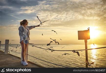 Cute girl is feeding seagulls are flying to have evening light during the golden hour. subject is blurred.