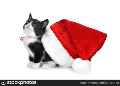 cute kitten with red santas hat
