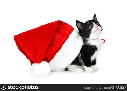 cute kitten with red santas hat