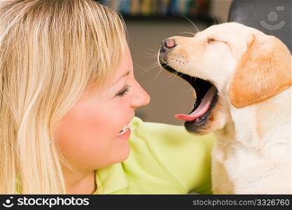 Cute Labrador Retriever puppy and his mom