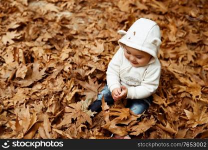 Cute little baby boy sitting on the graund in the forest and with pleasure playing with dry tree leaves, enjoying autumn nature