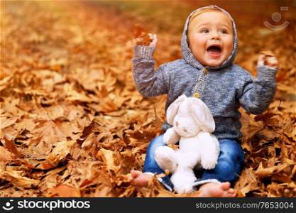 Cute little baby boy sitting on the ground covered with dry leaves in the park, little cheerful child playing with soft toy in the autumn garden