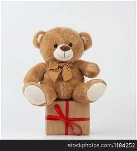 cute little brown teddy bear holds a brown box with a red ribbon on a white background