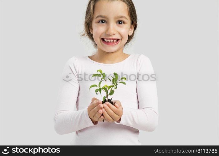 Cute little girl holding a green plant oh her hands