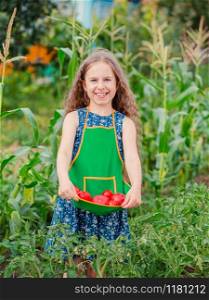 Cute little girl in a garden with ripe red tomatoes. A girl collects a crop of ripe organic tomatoes in the garden.. Cute little girl in a garden with ripe red tomatoes. A girl collects a crop of ripe tomatoes in the garden.