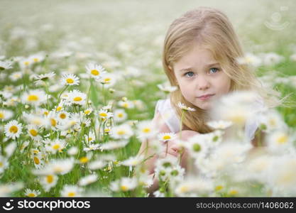 Cute little girl in big camomile meadow. Portrait composition.