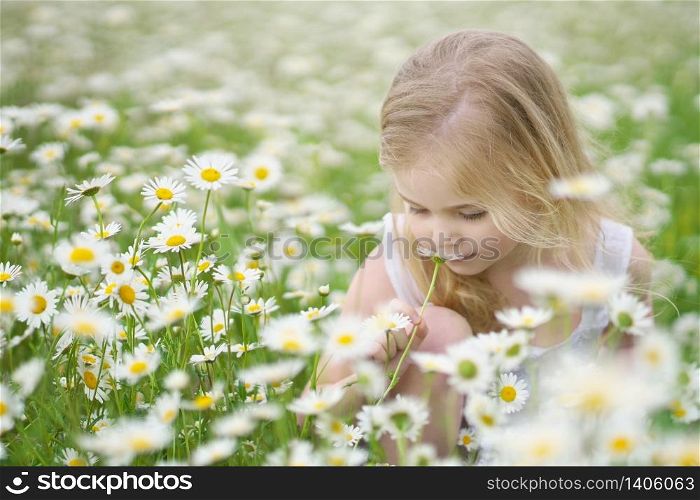 Cute little girl in big camomile meadow smellingflower. Portrait composition.