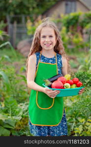 Cute little girl in the garden with a crop of ripe vegetables. The girl collects a crop of ripe organic tomatoes in the garden.. Cute little girl in the garden with a crop of ripe vegetables. The girl collects a crop of ripe tomatoes in the garden.