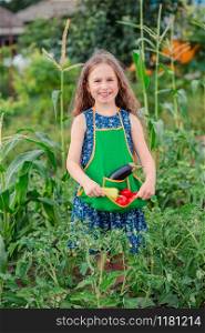 Cute little girl in the garden with a crop of ripe vegetables. The girl collects a crop of ripe organic tomatoes in the garden.. Cute little girl in the garden with a crop of ripe vegetables. The girl collects a crop of ripe tomatoes in the garden.