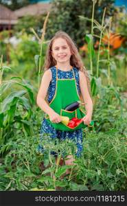 Cute little girl in the garden with a crop of ripe vegetables. The girl collects a crop of ripe organic tomatoes in the garden.. Cute little girl in the garden with a crop of ripe vegetables. The girl collects a crop of ripe tomatoes in the garden.