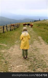 Cute little girl in yellow raincoat is walking in foggy mountains and looking at a herd of cows. Bad weather, summer tropical storm, autumn fashion concept. back view.. Cute little girl in yellow raincoat is walking in foggy mountains and looking at a herd of cows. Bad weather, summer tropical storm, autumn fashion concept. back view