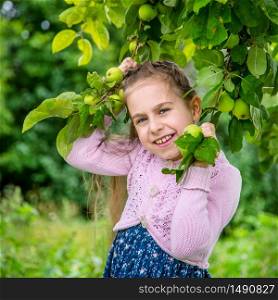 Cute little girl picking apples in a green grass background at sunny day. Cute little girl picking apples
