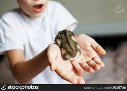 Cute little hamster in the child&rsquo;s hands close. Cute little hamster in child&rsquo;s hands close