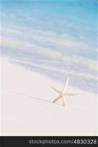 Cute little white sea star on sandy seashore, abstract natural background, exotic nature, paradise beach, card with starfish image&#xA;