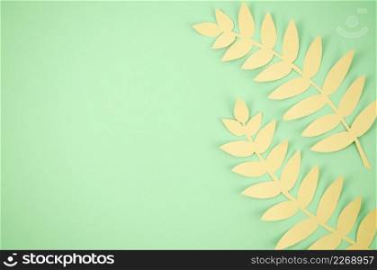 cute long leaves with green copy space background