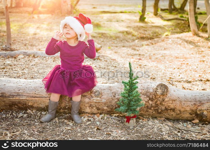 Cute Mixed Race Young Baby Girl Having Fun With Santa Hat and Christmas Tree Outdoors On Log.