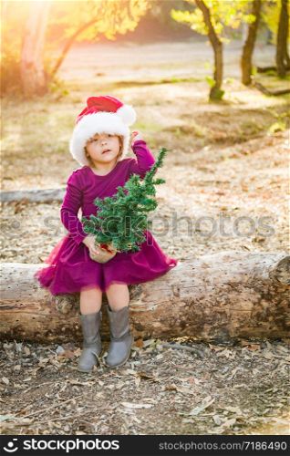 Cute Mixed Race Young Baby Girl Having Fun With Santa Hat and Christmas Tree Outdoors On Log.