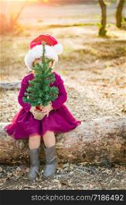 Cute Mixed Race Young Baby Girl Having Fun With Santa Hat and Christmas Tree Outdoors On Log.