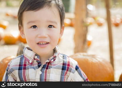 Cute Mixed Race Young Boy Having Fun at the Pumpkin Patch.