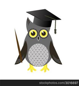 Cute Owl Bird with Graduation Cap Isolated on White Background. Cute Owl Bird with Graduation Cap