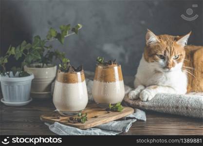 Cute red white cat relaxing on plaid. Two glasses of Iced Dalgona coffee. Trend korean drink latte espresso with coffee. Dark rustic style. Cozy home concept. Stay at home and relax.