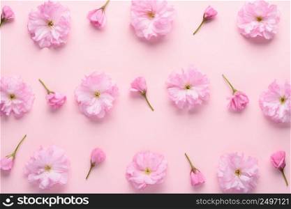 Cute sakura flowers pattern on pastel pink background. Floral pattern with buds flat lay top view.