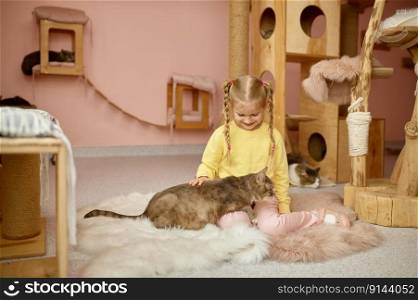 Cute smiling girl playing with cat in shelter for domestic animal. Therapy for children with pets. Cute smiling girl playing with cat in shelter for domestic animal