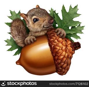 Cute squirrel acorn isolated holding a giant tree nut as a funny autumn symbol with aok leaves and furry animal storing nuts on a white background in a 3D ilustration style.
