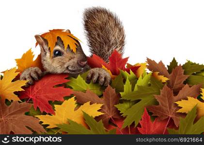 Cute squirrel playing in a pile of autumn leaves as a playful rodent enjoying the outdoors isolated on a white background.