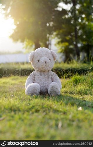 Cute Teddy bear in park. Concept relaxation in the garden