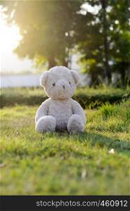 Cute Teddy bear in park. Concept relaxation in the garden