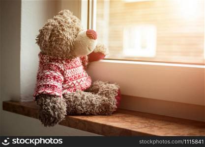 Cute teddy bear is sitting on the windowsill, looking out of the window, sunlight