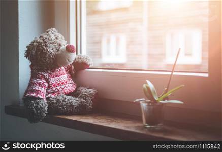 Cute teddy bear is sitting on the windowsill, looking out of the window, sunlight