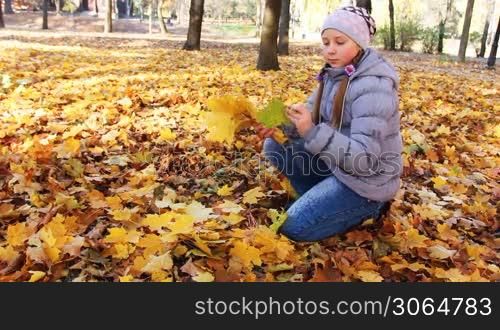 cute teen girl sits on her knee and collects yellow leaves in beautiful autumn city park