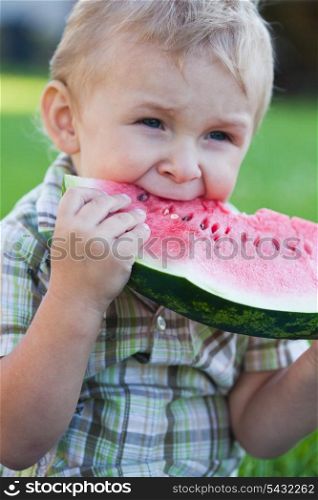 Cute toddler blonde boy is eating watermelon