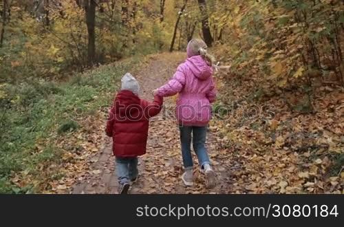Cute toddler boy and his teenage sister holding hands and running through colorful autumn park. Back view. Joyful siblings playing and running on park walkway in indian summer over golden fall background. Steadicam stabilized shot. Slow motion.