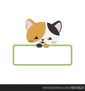 Cute tricolor kawaii cat holding blank card isolated on white background. Vector illustration. Cartoon flat style