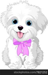 Cute white lap-dog puppy posing with pink ribbon