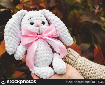 Cute young woman holding a stuffed toy in her hands. Cute young woman holding a stuffed toy